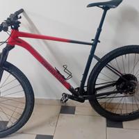 mtb cannondale uomo