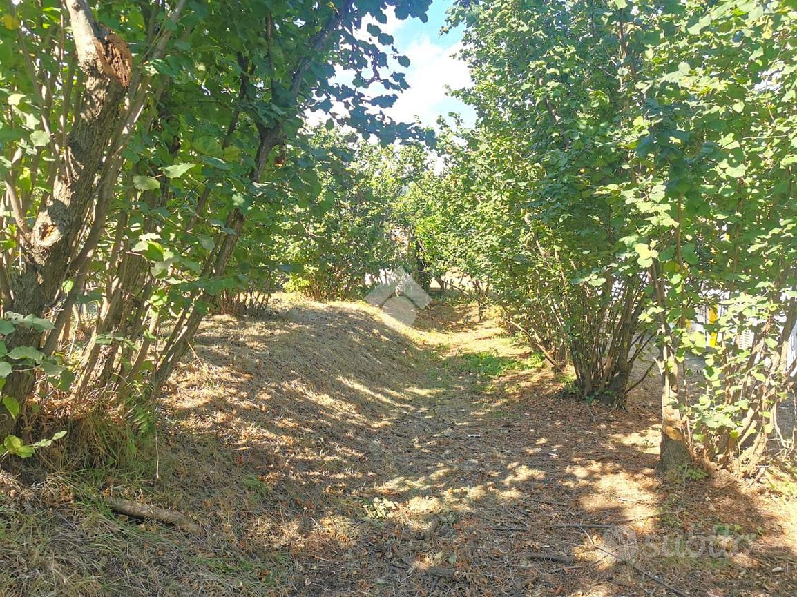 TER. RESIDENZIALE A MONTECORVINO ROVELLA - Altro