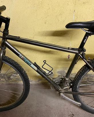 Bicicletta mountain bike