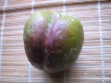 Frutta Cartapesta 6 pezzi del'900