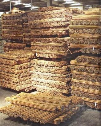 N' 25 Canne Bamboo Bambù da cm 150 a cm 400