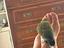 Immagine 3