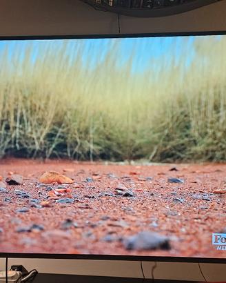 Smart TV Samsung 55 4k Ultra Hd + Staffa Meliconi 