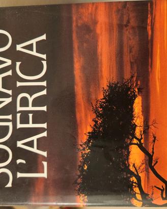 Sognavo l'Africa