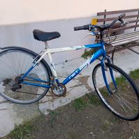 bici da uomo 28 con marce 