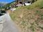 Immagine 14