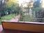 Immagine 21