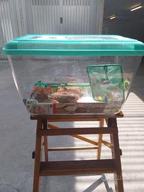 ACQUARIO
