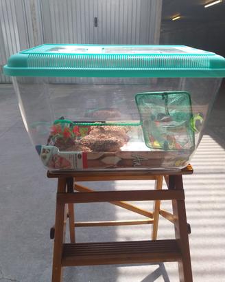 ACQUARIO