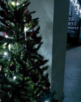 Albero di Natale