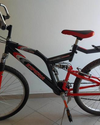 Bicicletta