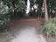 Immagine 12