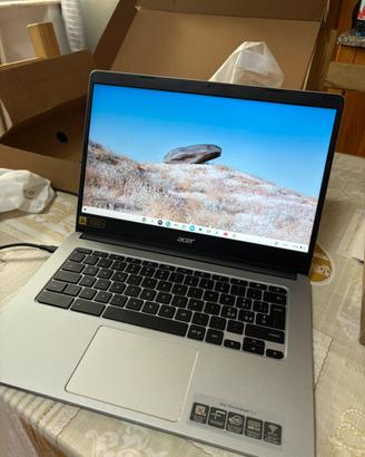 Acer Chromebook 314