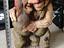 Immagine 1