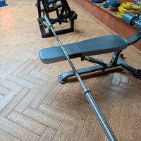 bilanciere lacertosus 