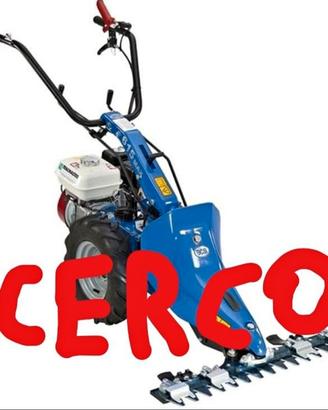 motofalciatrice piccola tipo bcs