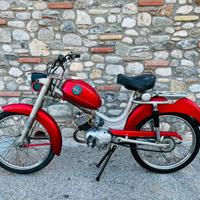 Benelli Export monomarcia, 49cc - 1964