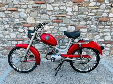 Benelli Export monomarcia, 49cc - 1964