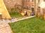 Immagine 12