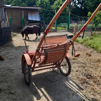 Calesse pony/mezzo cavallo