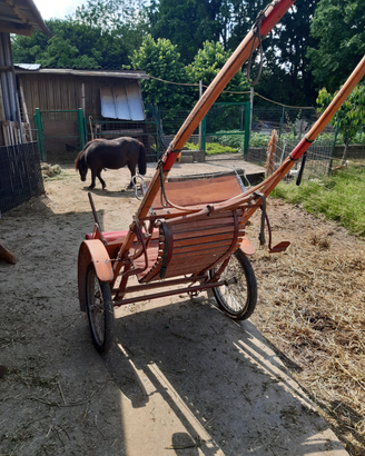 Calesse pony/mezzo cavallo
