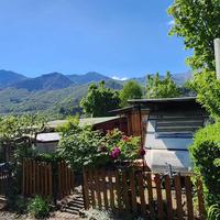 Immerso nel verde Completo relax