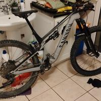 Canyon neuron 7 (2022)