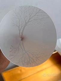  6 bicchieri belvedere vodka