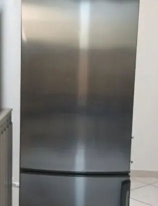 Frigo rex