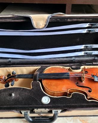violino