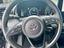 Immagine 13