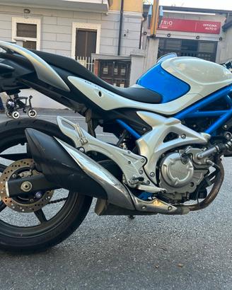 Suzuki Gladius 650 Originale