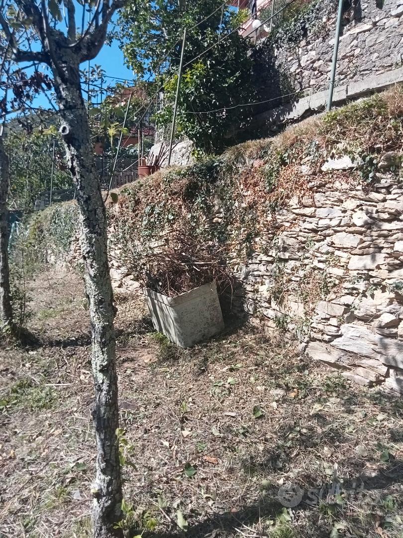 terreni su fasce - Vista 4