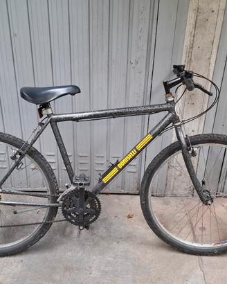 Bici Doniselli