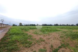 TER. AGRICOLO A TORBOLE CASAGLIA
