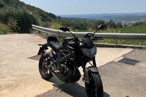 mt 125 2019 terminale akrapovic
