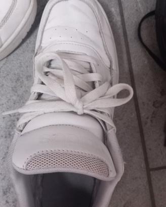 scarpe adidas e all star 