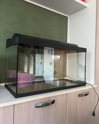 Acquario tetra 100l