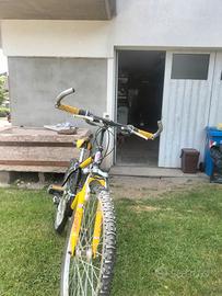 bici bambino /ragazzo 