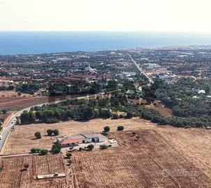 Fattoria - Polignano a Mare