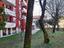 Immagine 11