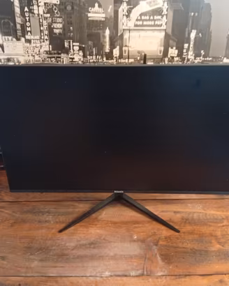 monitor PC da 22 pollici 15 euro 