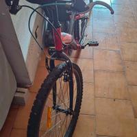 bicicletta ruote 24