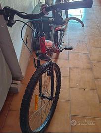 bicicletta ruote 24