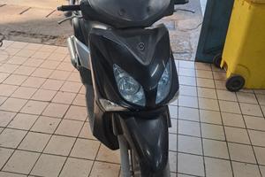xcity 250