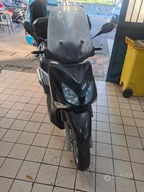 xcity 250