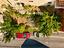 Immagine 17