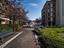 Immagine 29