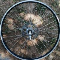 Ruota bici da 26 con freno a disco