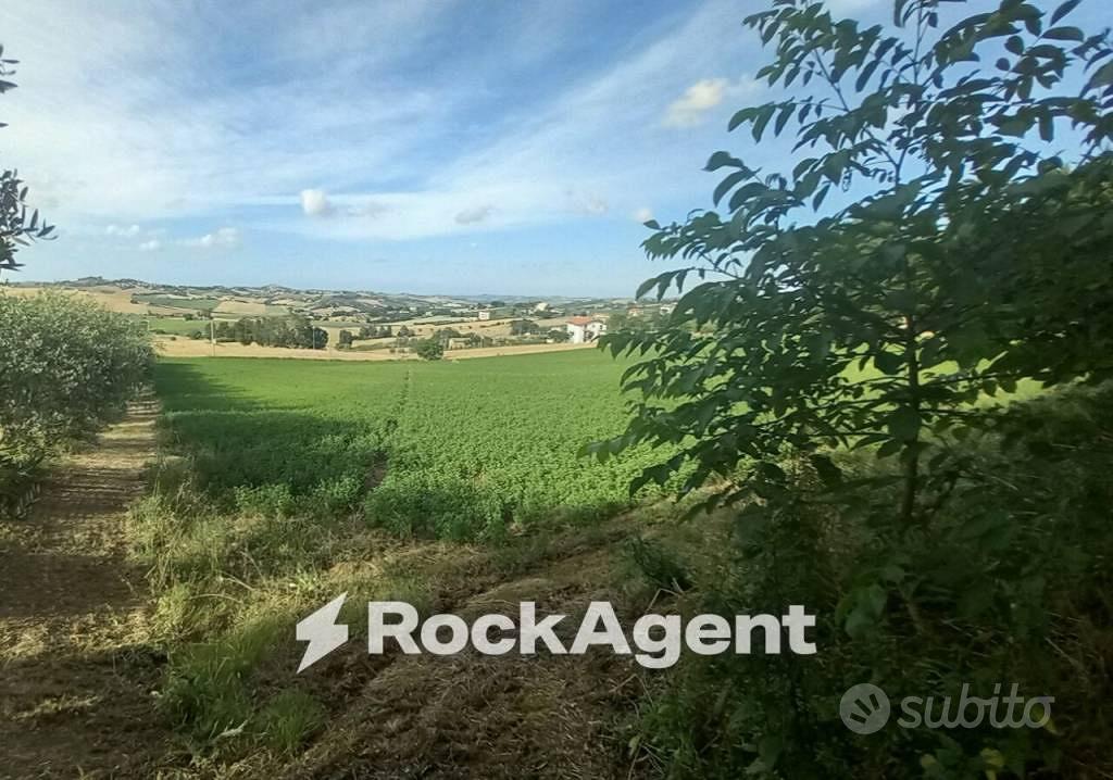 Terreno di 29773 m² a Arcevia - Vista 3